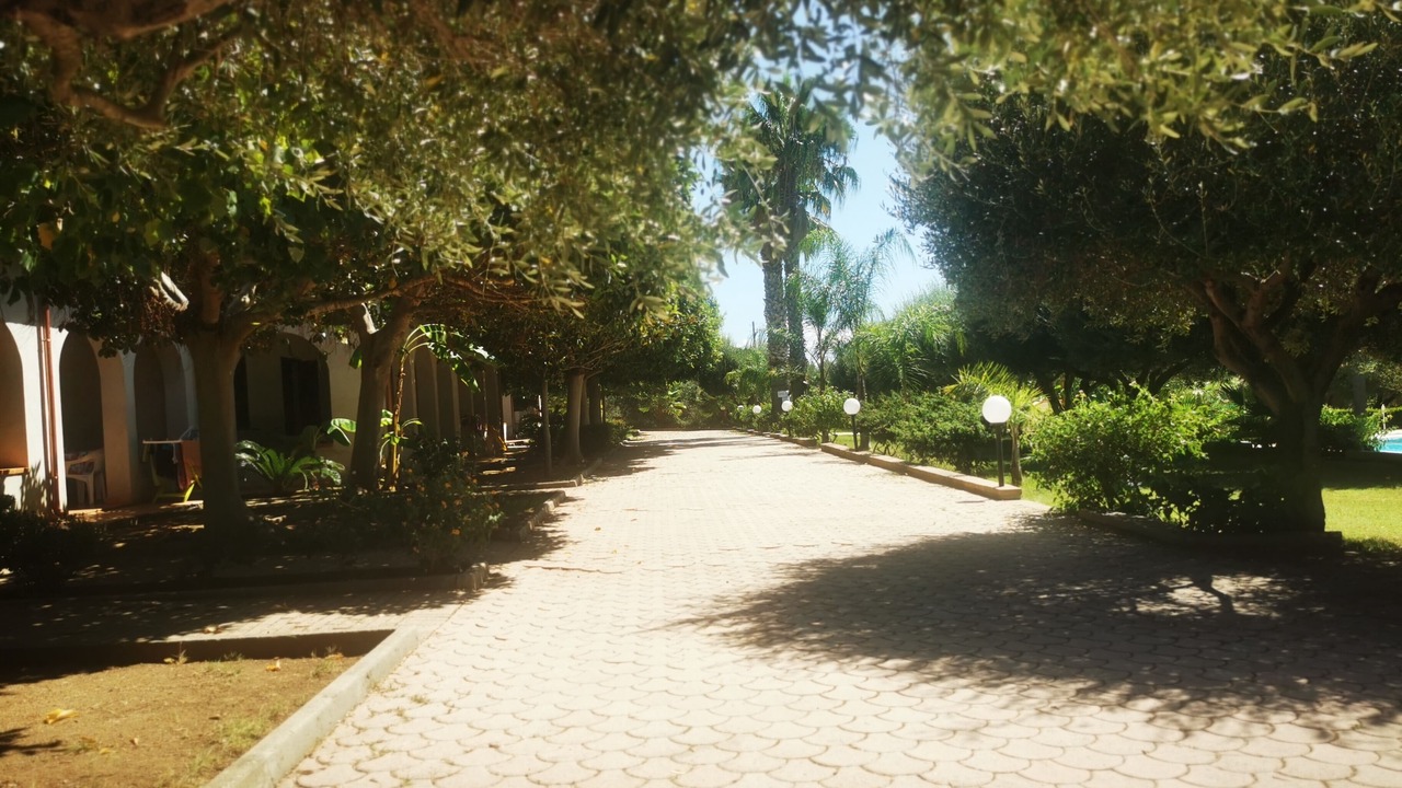 Photo of Outdoor in Santa Maria
