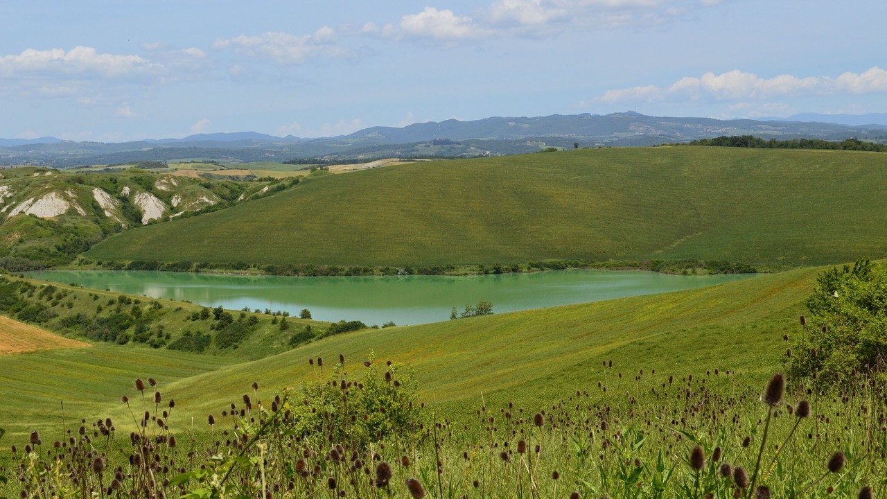 Photo of Others in Ponte di Gabbiano