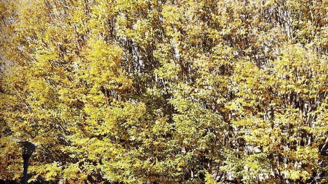 Photo of Outdoor in Cassino