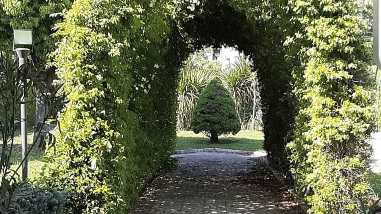 Photo of Outdoor in Cassino