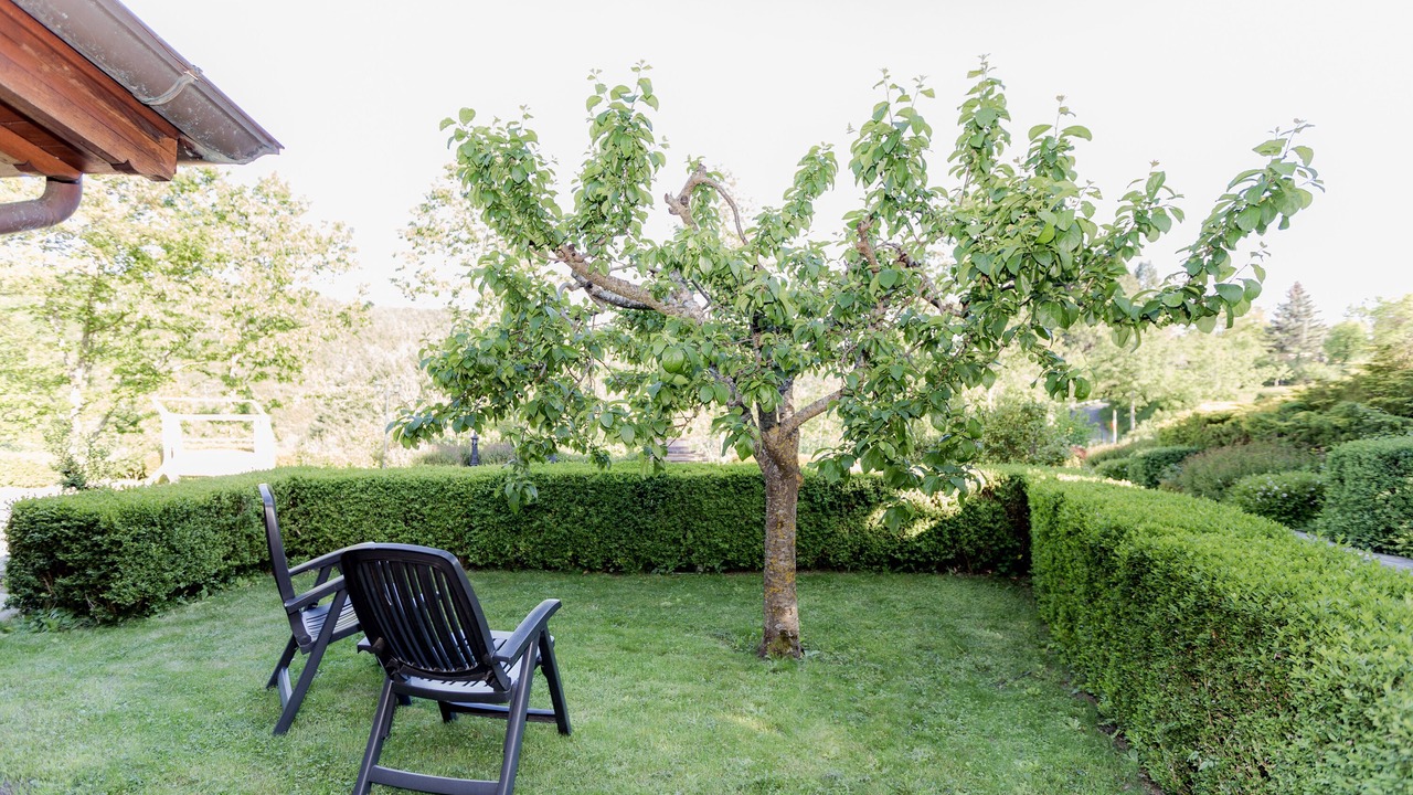 Photo of Outdoor in Caiano