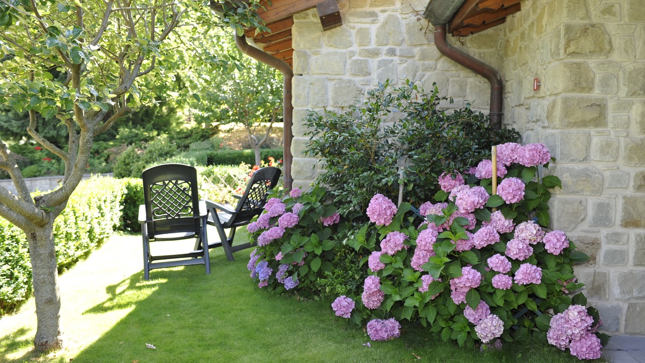 Photo of Patio Balcony in Caiano