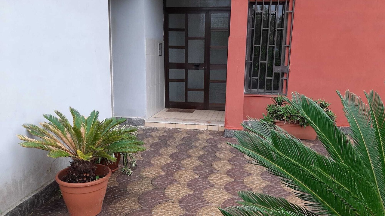 Photo of Outdoor in Licola