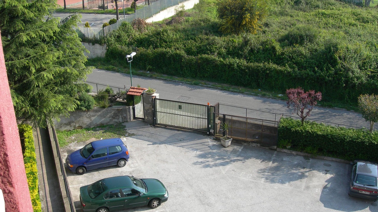 Photo of Outdoor in Licola