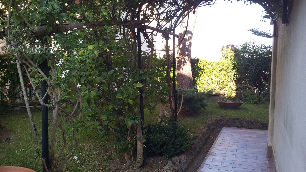 Photo of Outdoor in Lacco Ameno