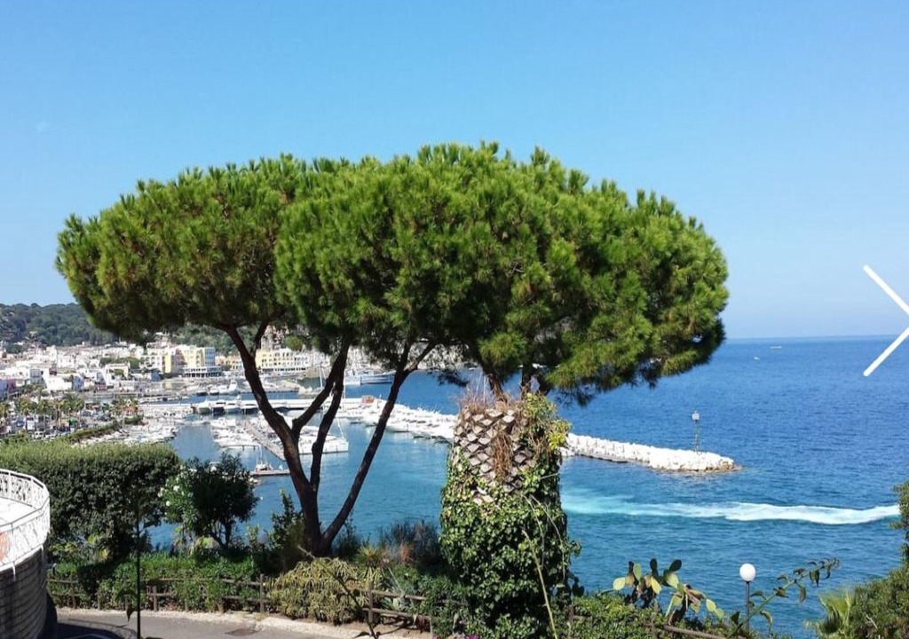 Photo of Outdoor in Lacco Ameno
