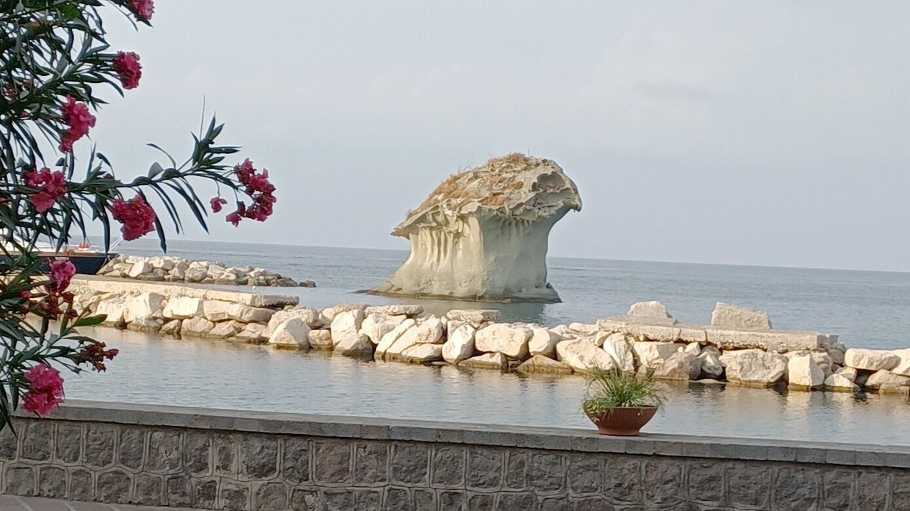 Photo of Others in Lacco Ameno