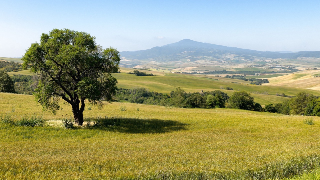Photo of Others in Monticchiello