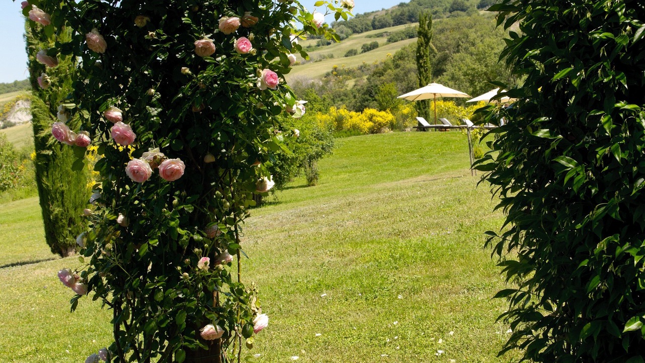 Photo of Outdoor in Monticchiello