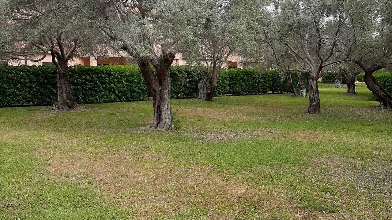 Photo of Outdoor in Contrada Taverna