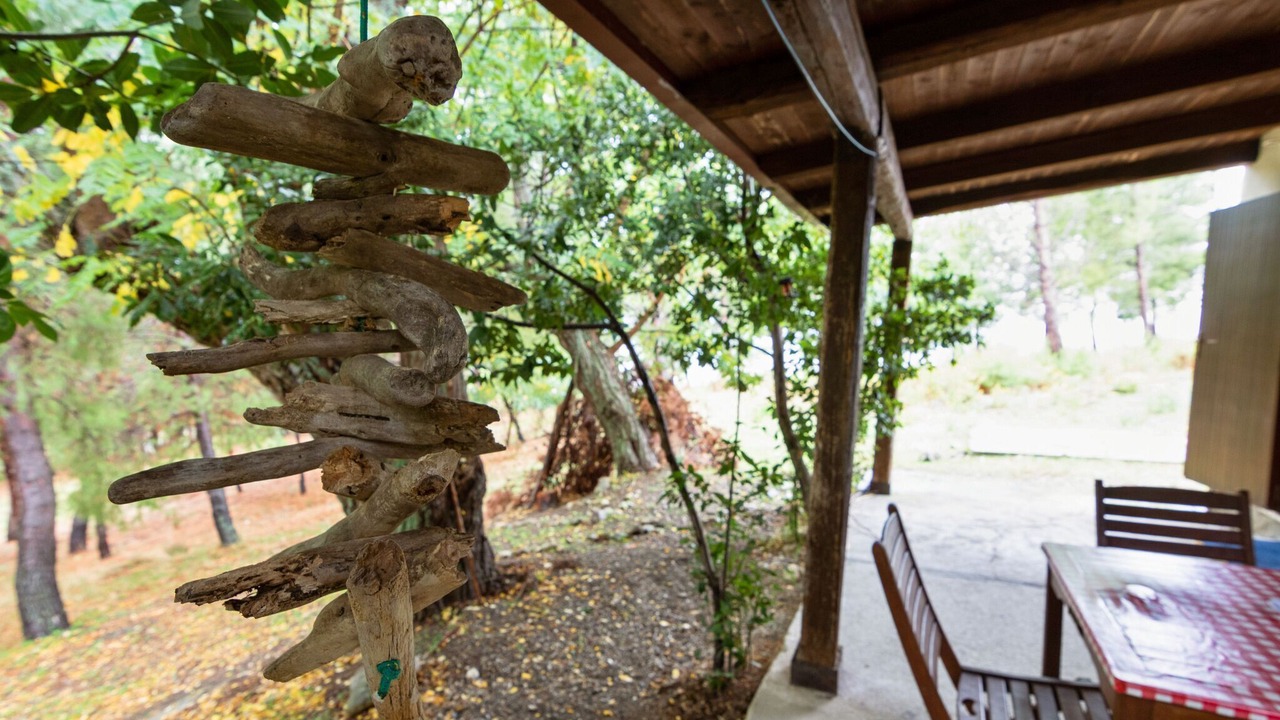 Photo of Patio Balcony in Cropani Marina