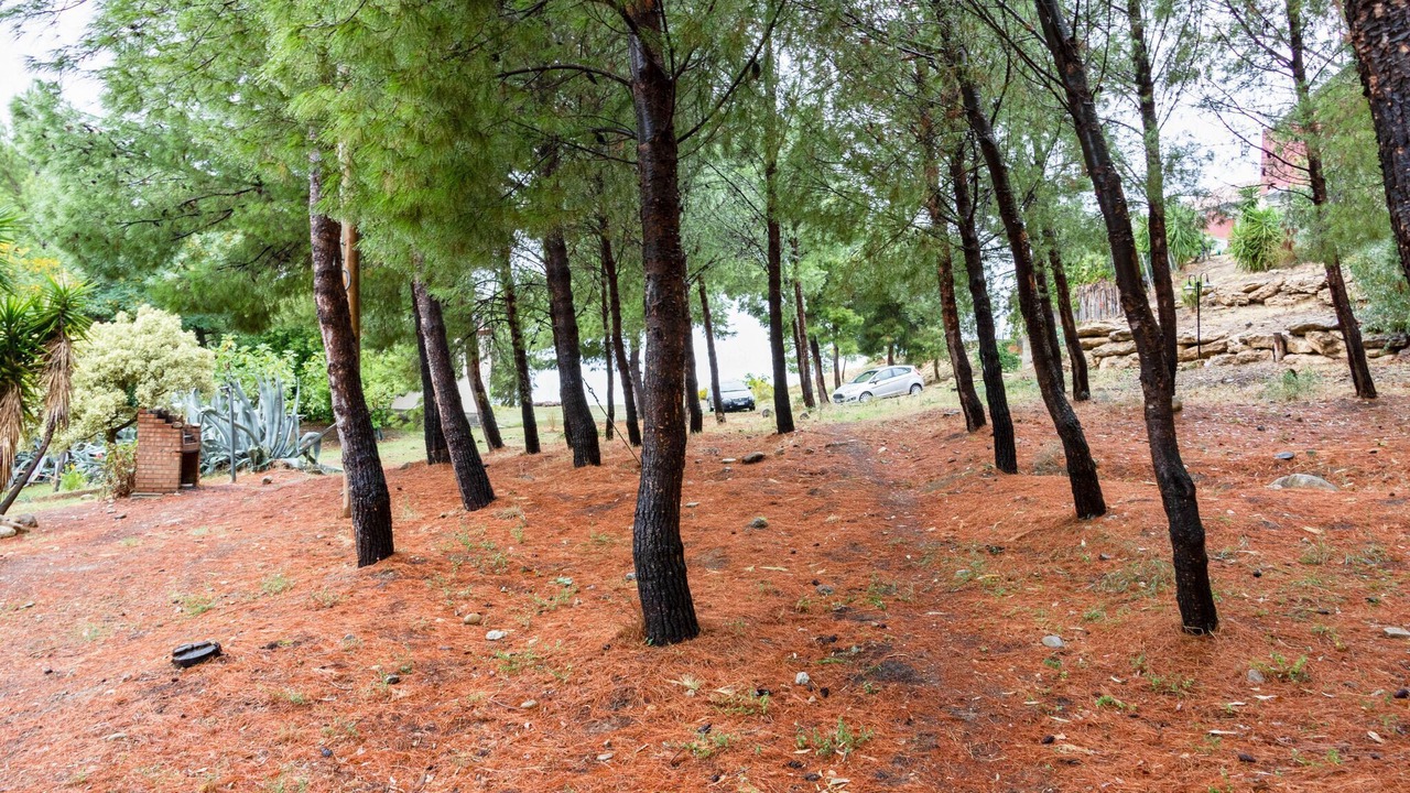 Photo of Outdoor in Cropani Marina