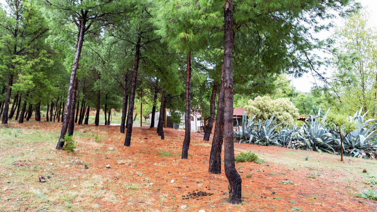 Photo of Outdoor in Cropani Marina