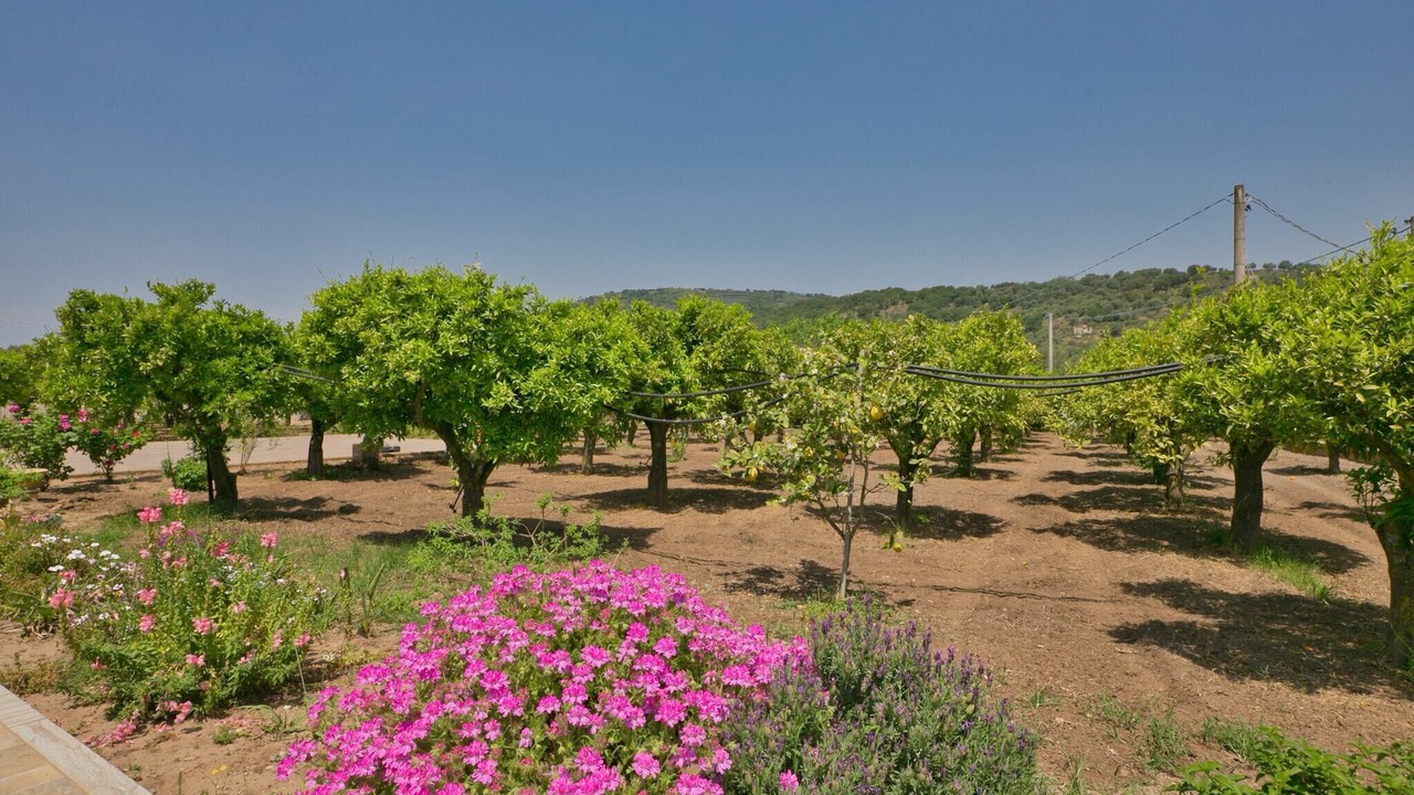 Photo of Outdoor in Limbadi