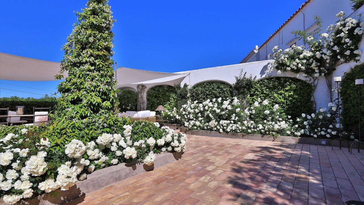 Photo of Outdoor in Marina Grande