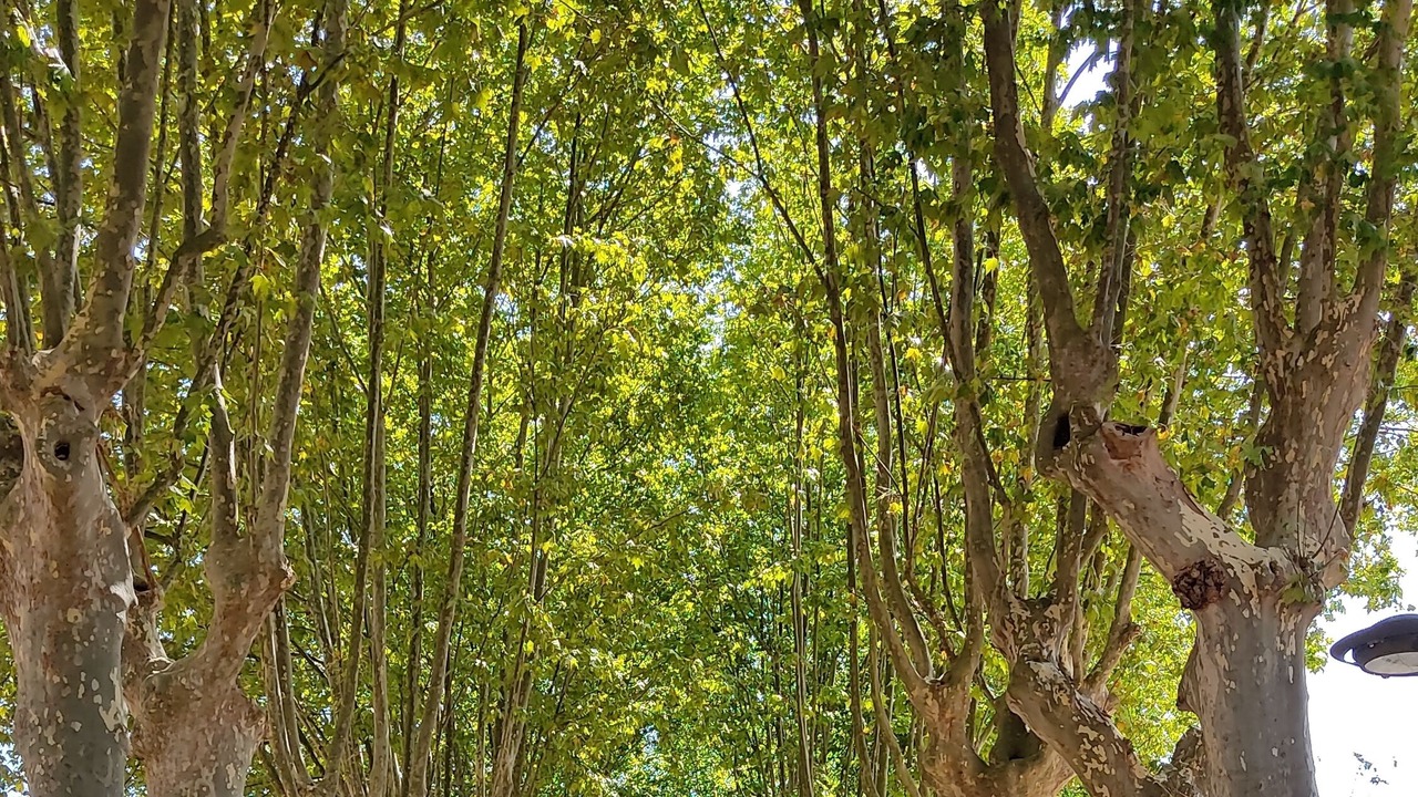 Photo of Outdoor in Sant'Agata de'Goti