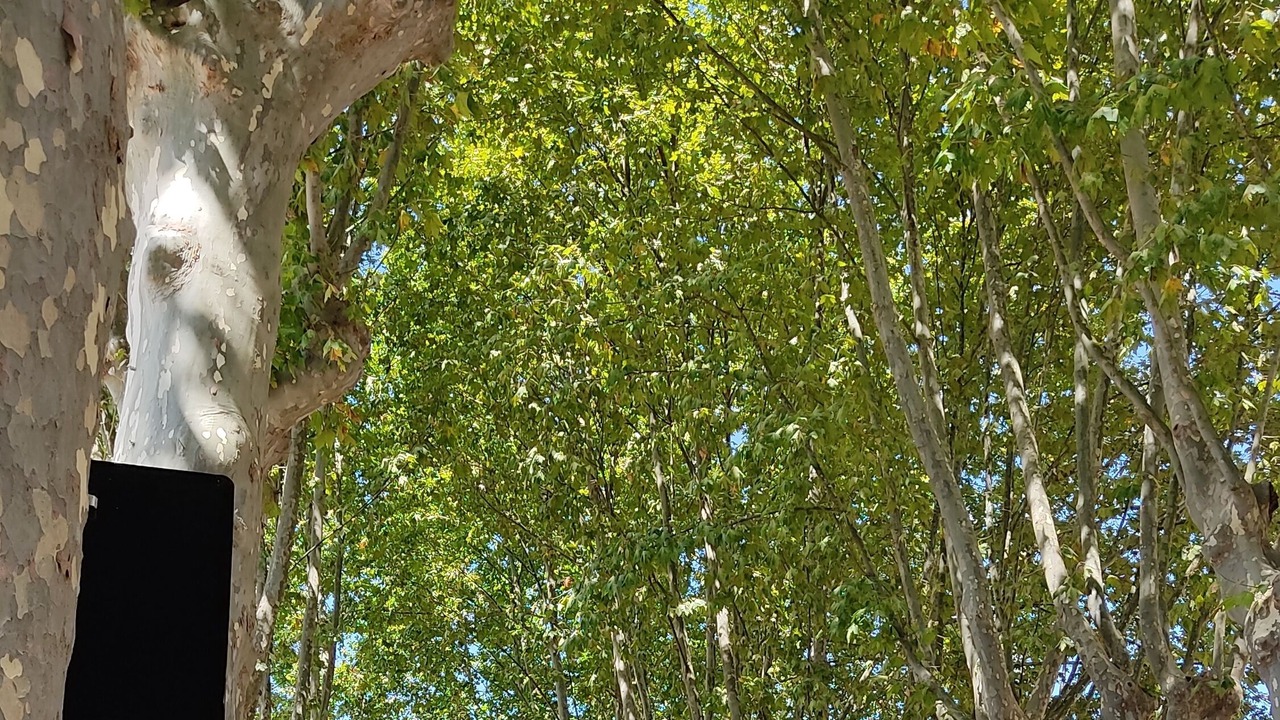 Photo of Outdoor in Sant'Agata de'Goti