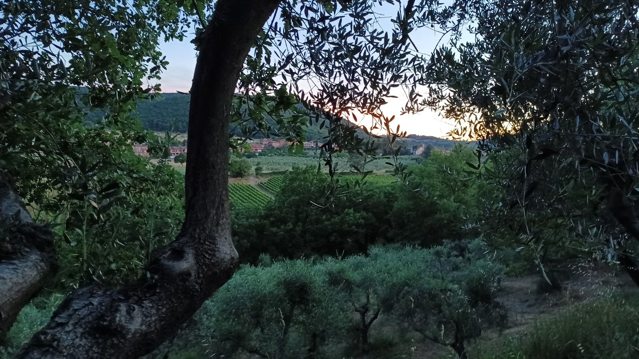 Photo of Outdoor in Montepulciano
