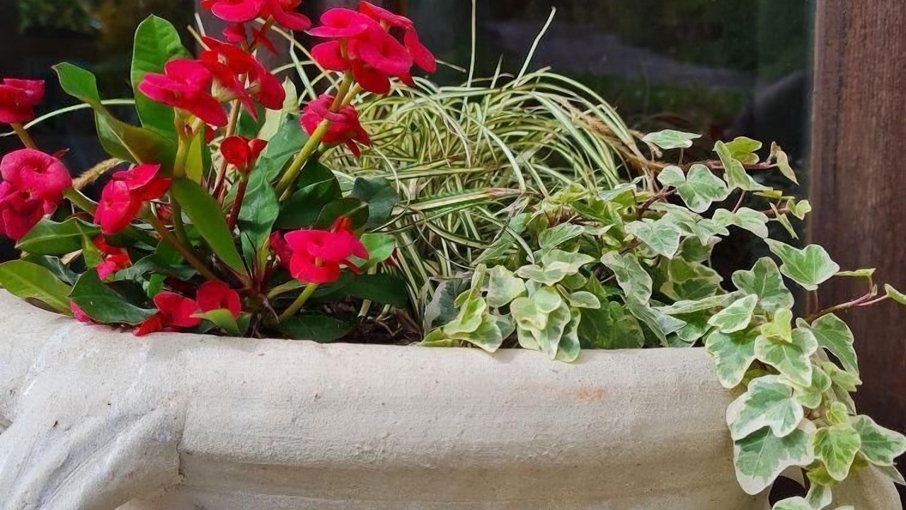 Photo of Outdoor in San Leo