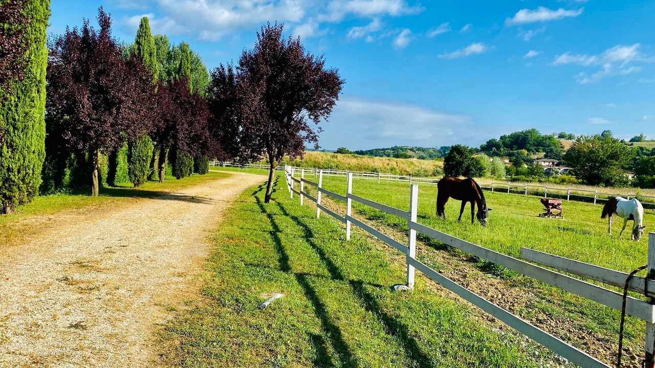 Photo of Outdoor in Figline e Incisa Valdarno