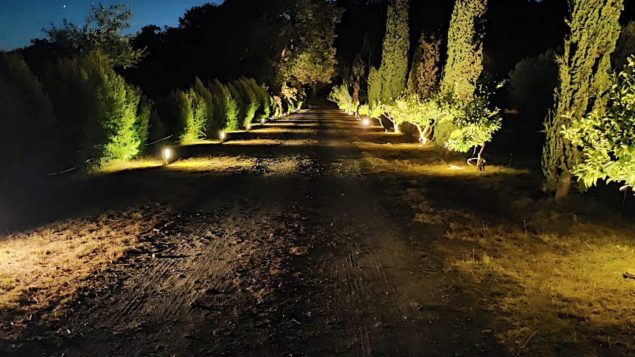 Photo of Others in Feroleto Antico