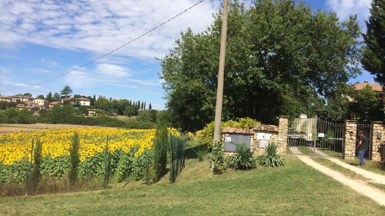 Photo of Outdoor in Monteriggioni