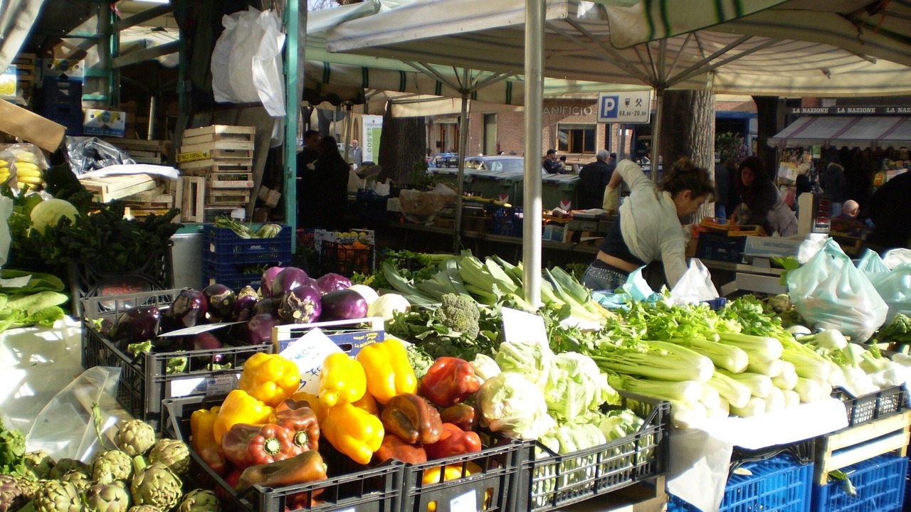 Photo of Others in Monteriggioni