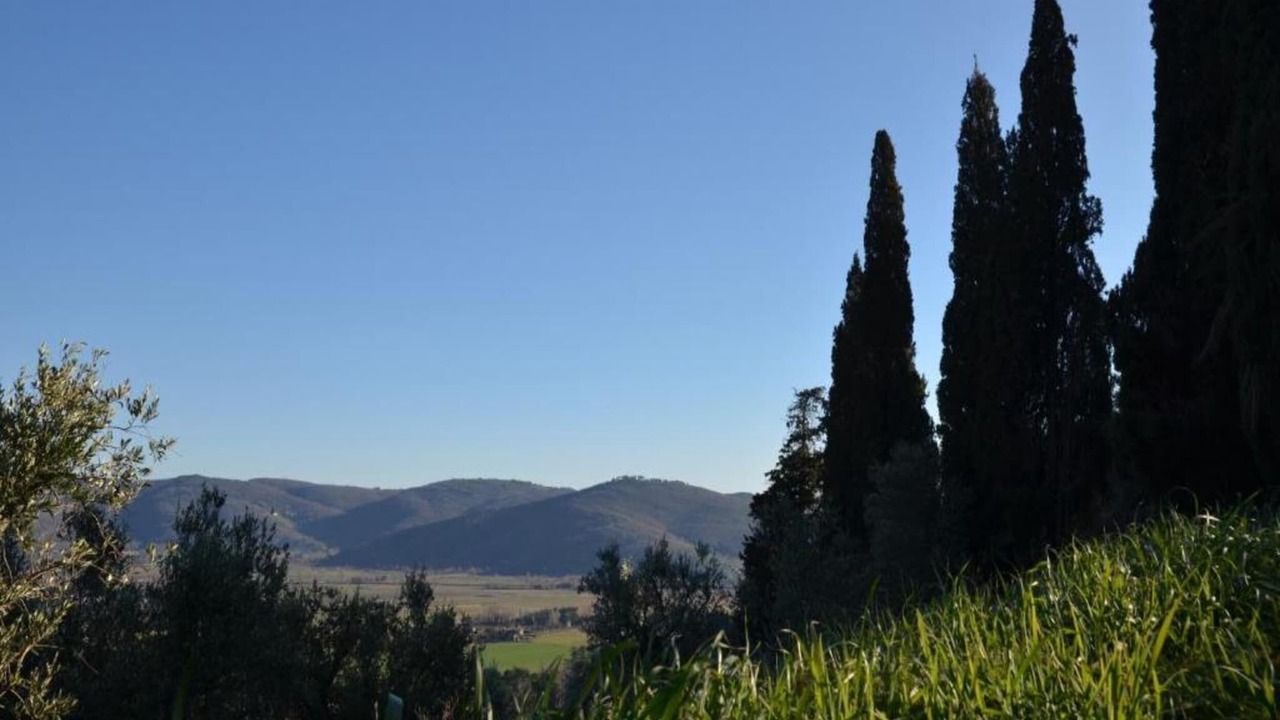 Photo of Others in Cortona