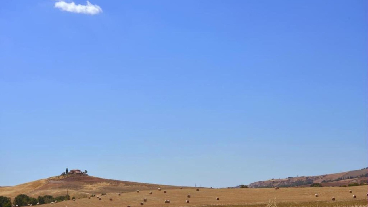 Photo of Others in Gallina