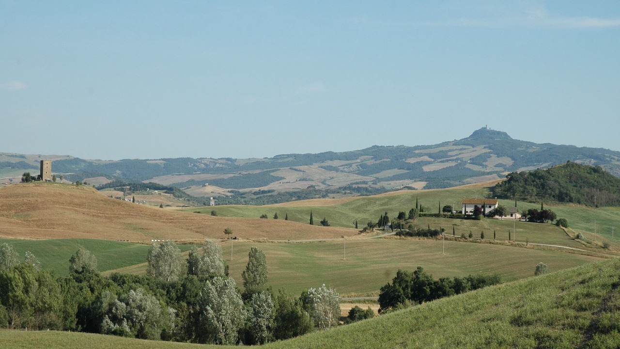 Photo of Others in Gallina