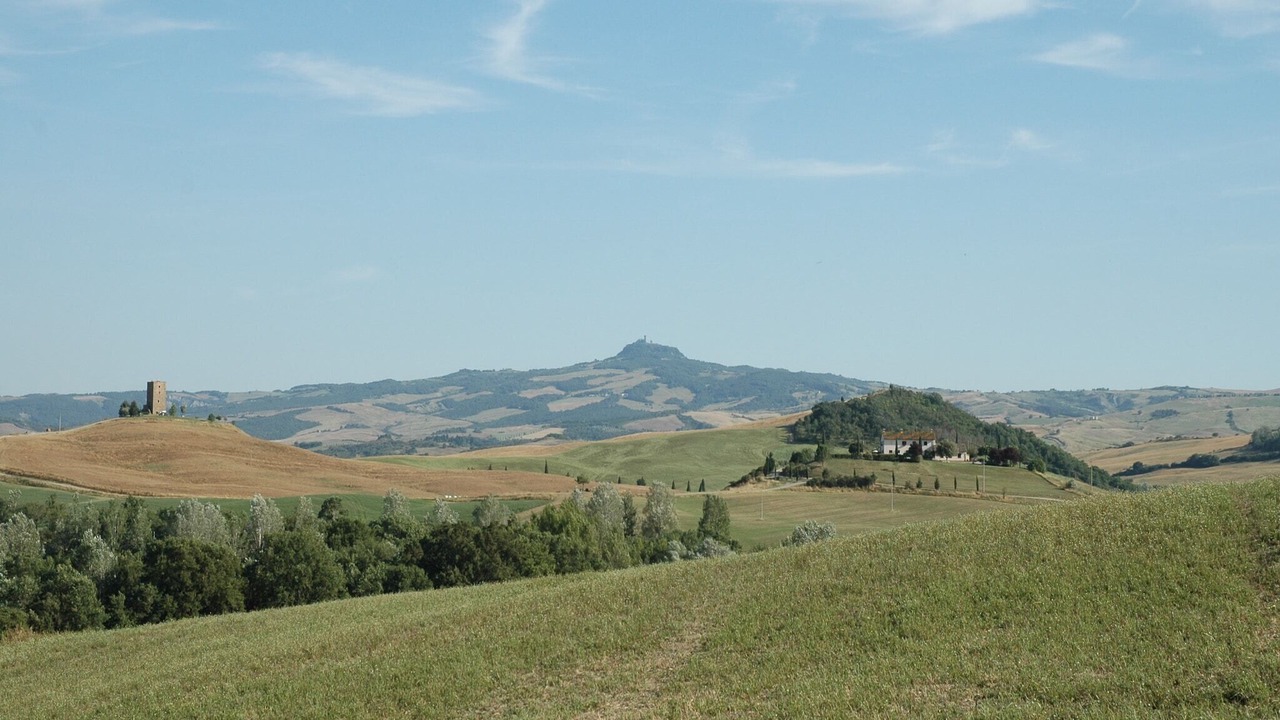 Photo of Others in Gallina