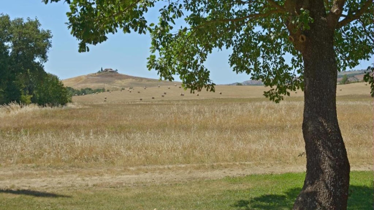 Photo of Others in Gallina