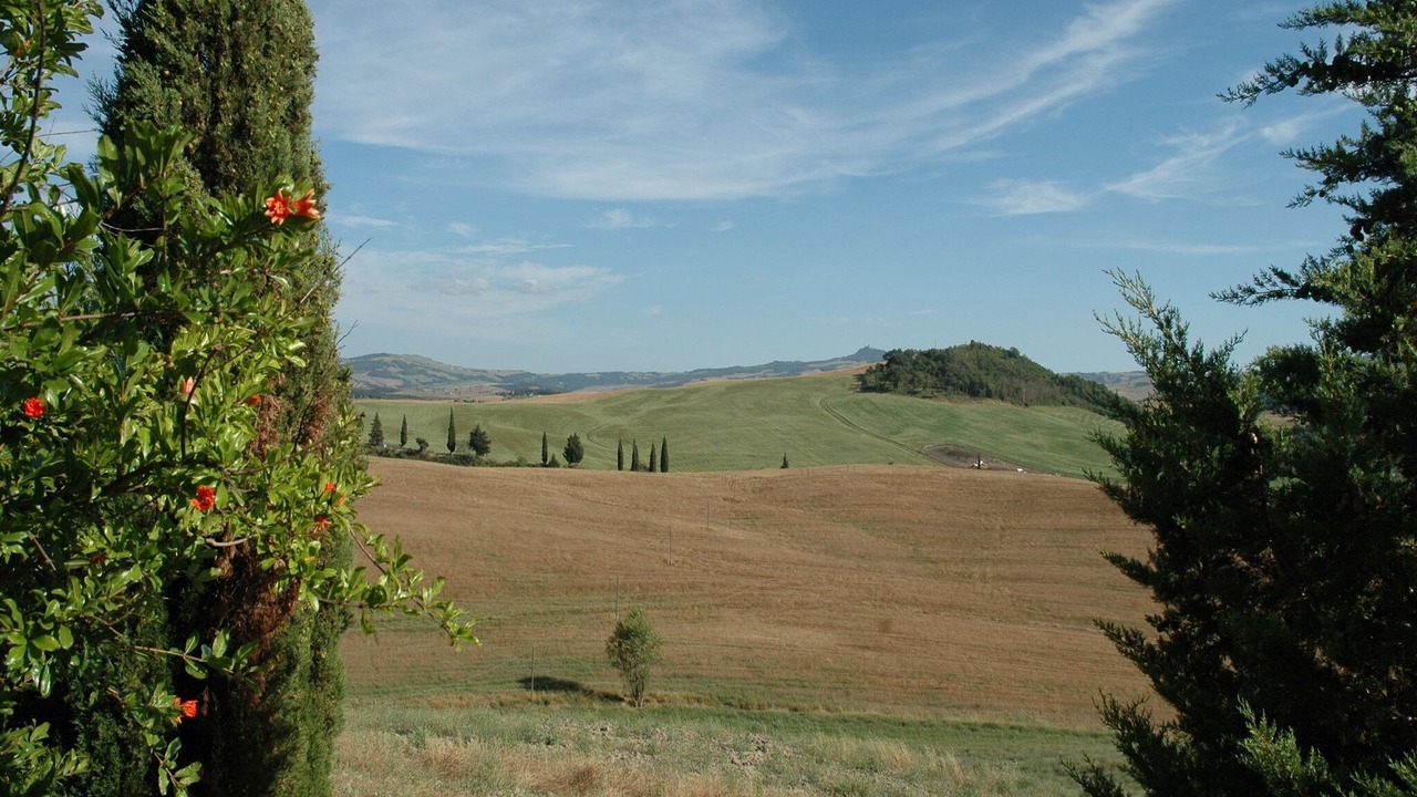 Photo of Others in Gallina
