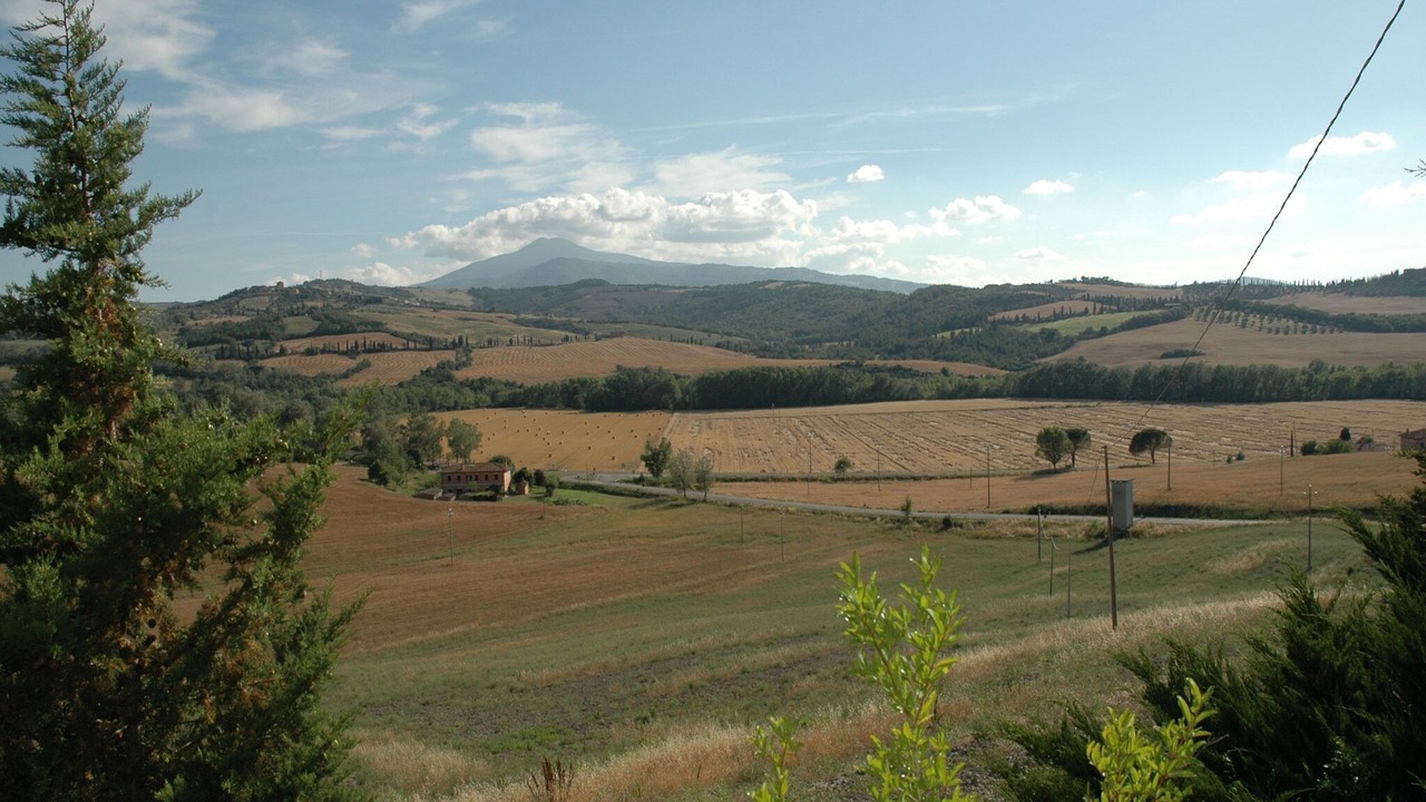 Photo of Others in Gallina