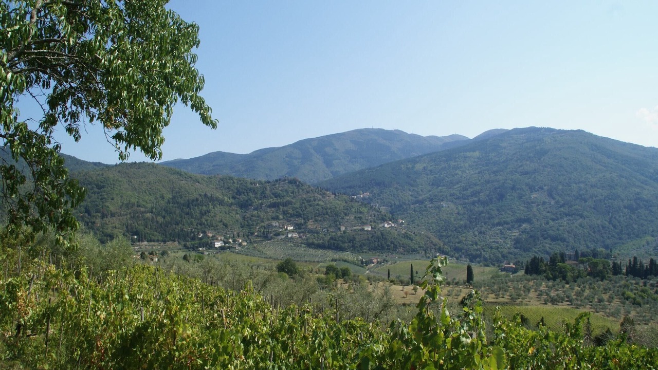 Photo of Others in Pelago