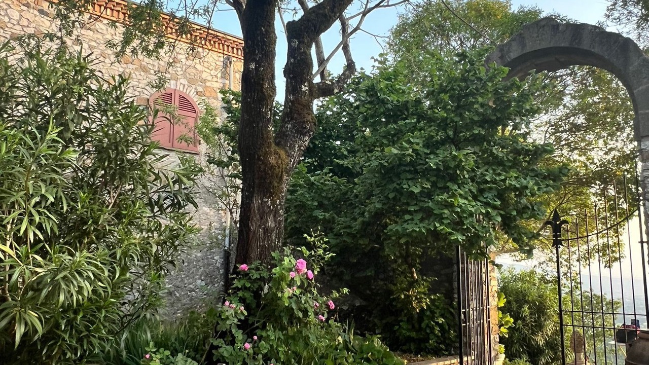 Photo of Outdoor in Poli