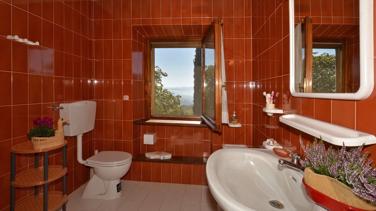 Photo of Bathroom in Capolona