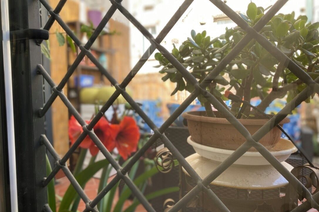Photo of Outdoor in Chiaia