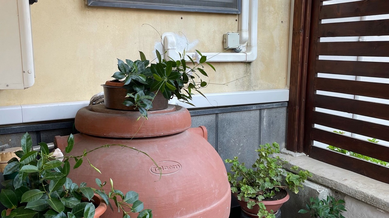 Photo of Outdoor in Pompei