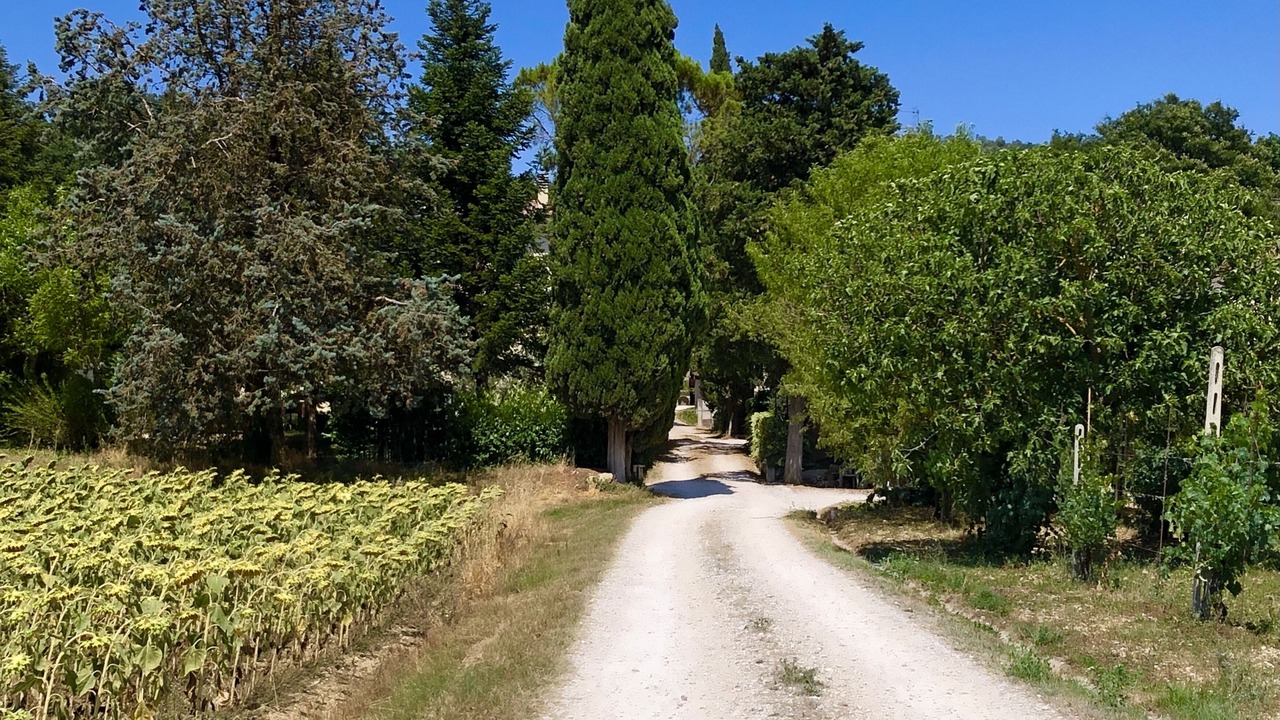 Photo of Outdoor in Gubbio