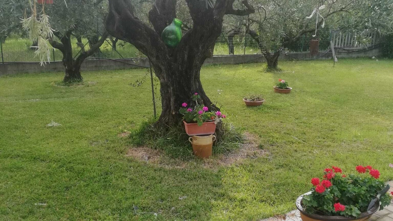 Photo of Outdoor in Lamezia Terme