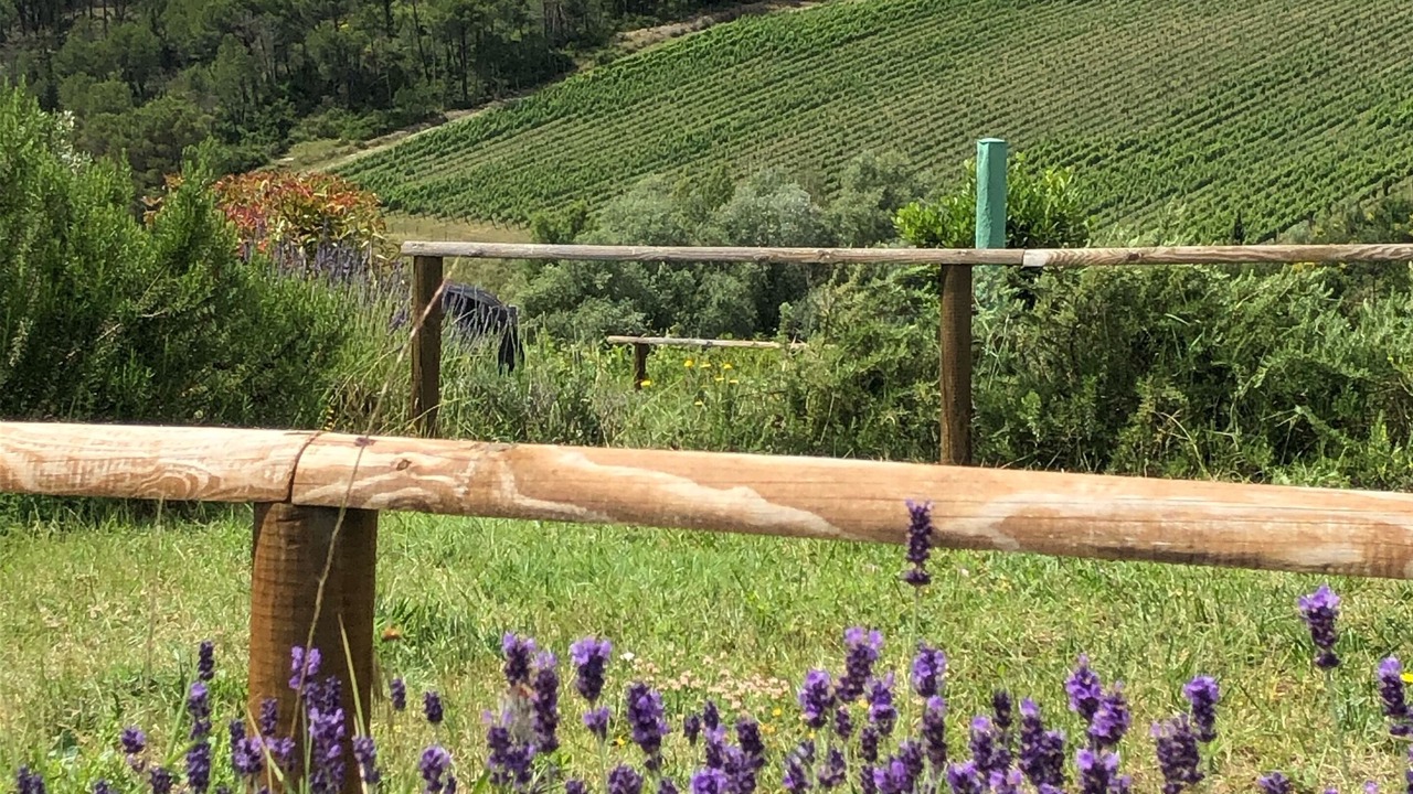 Photo of Outdoor in Bagno a Ripoli
