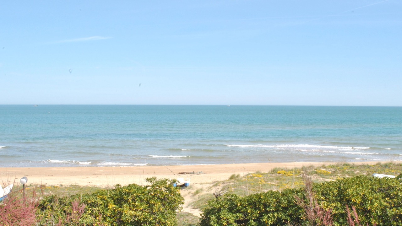 Photo of Others in Termoli