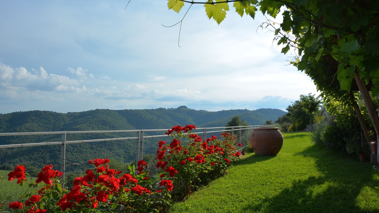 Photo of Outdoor in Rosennano