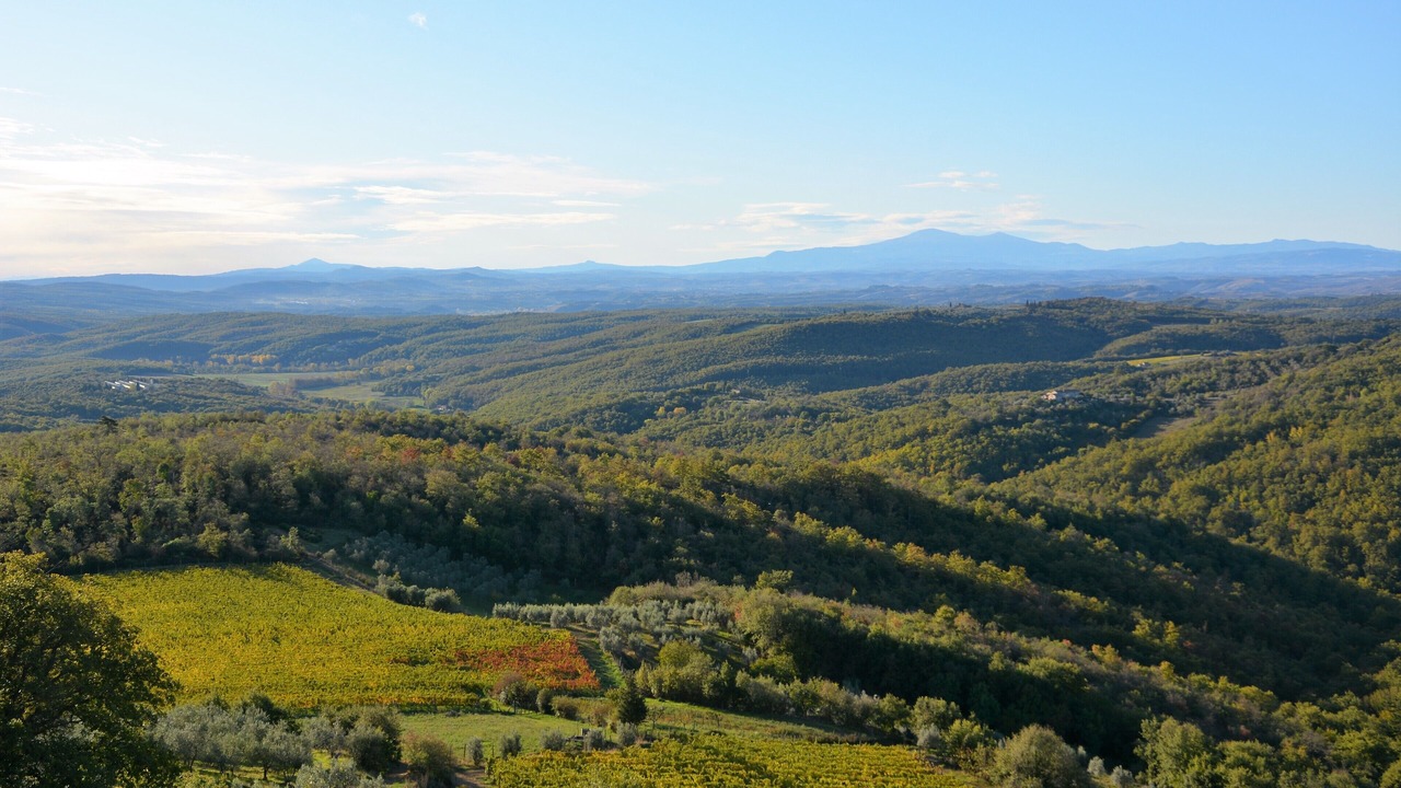 Photo of Outdoor in Rosennano