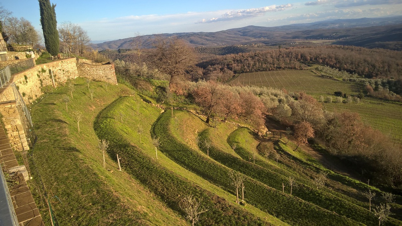 Photo of Outdoor in Rosennano