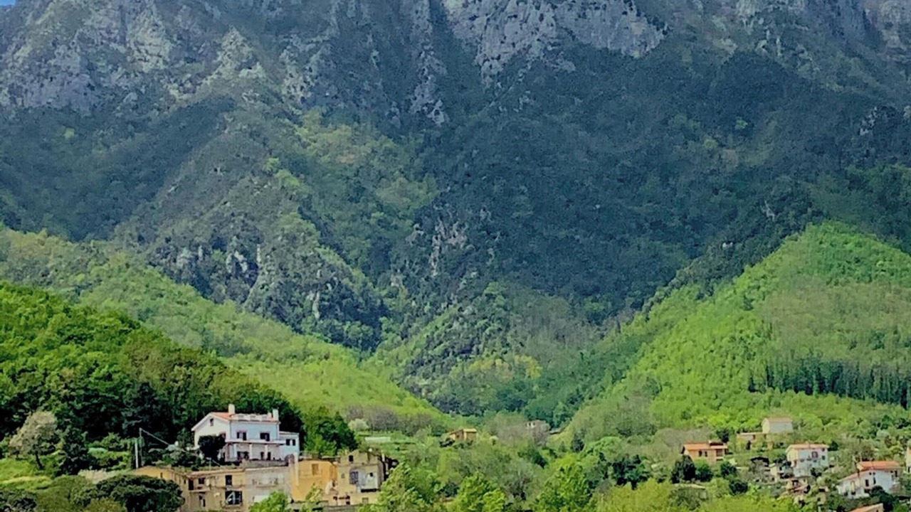 Photo of Others in Cava de' Tirreni