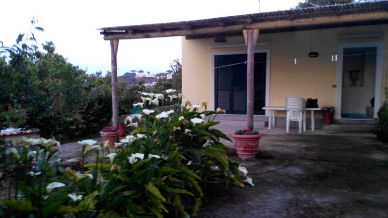 Photo of Outdoor in Lacco Ameno