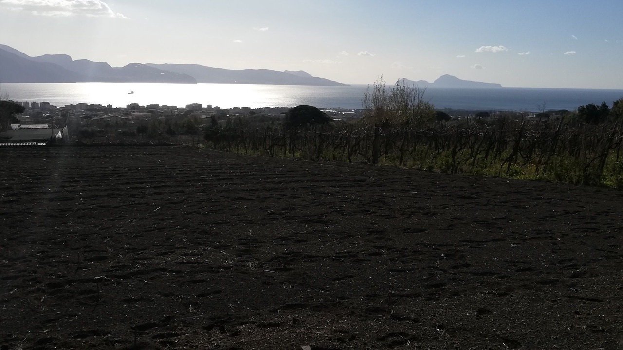 Photo of Others in Trecase