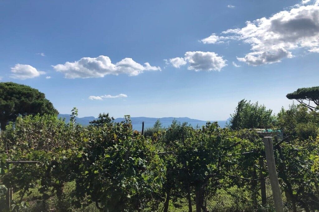 Photo of Outdoor in Trecase